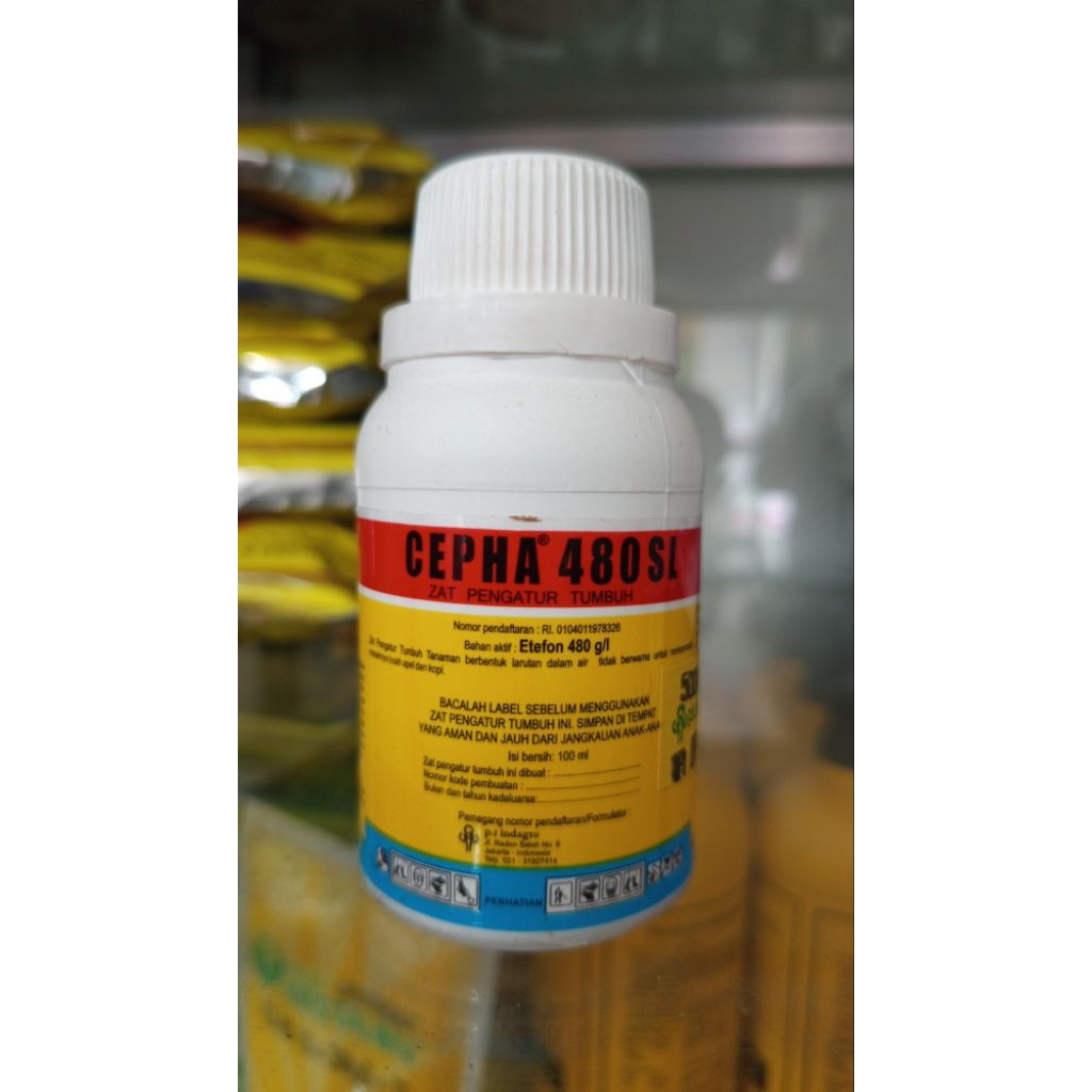 ZPT CEPHA 100ML