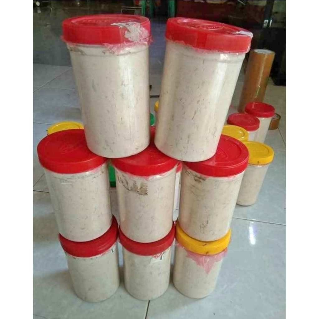 Kucur umpan ikan Baung