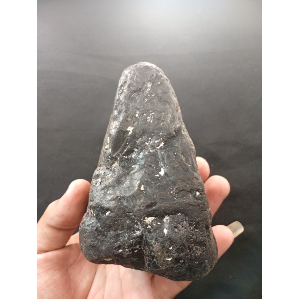 Galih setigi karimunjawa hitam pekat 540gr A23