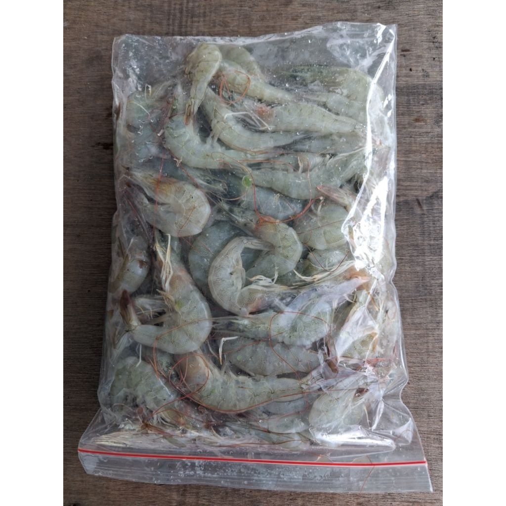 Udang segar 1kg area Surabaya