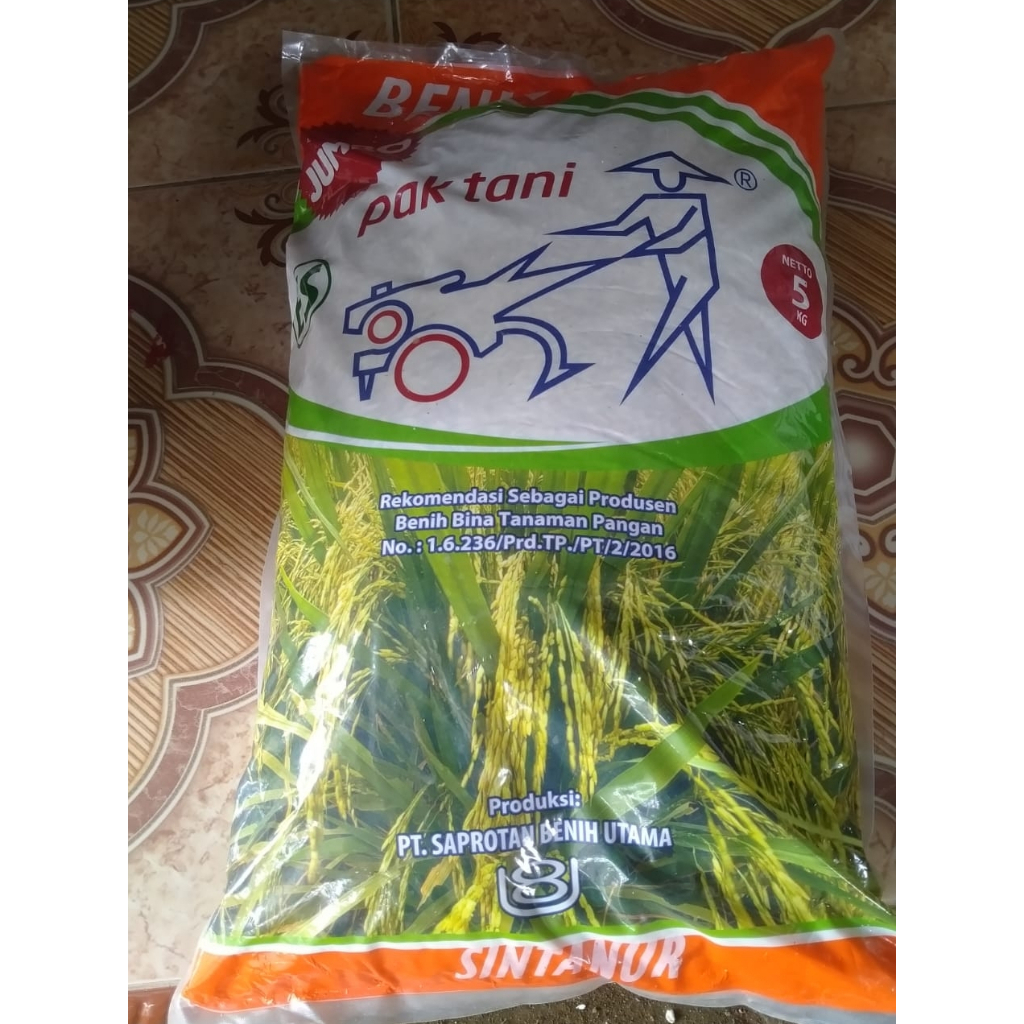Benih Padi Sintanur Jumbo ES Pak Tani 5 kg, Benih Padi Prima, Benih Padi Pak Tani Sintanur, Beras Wa