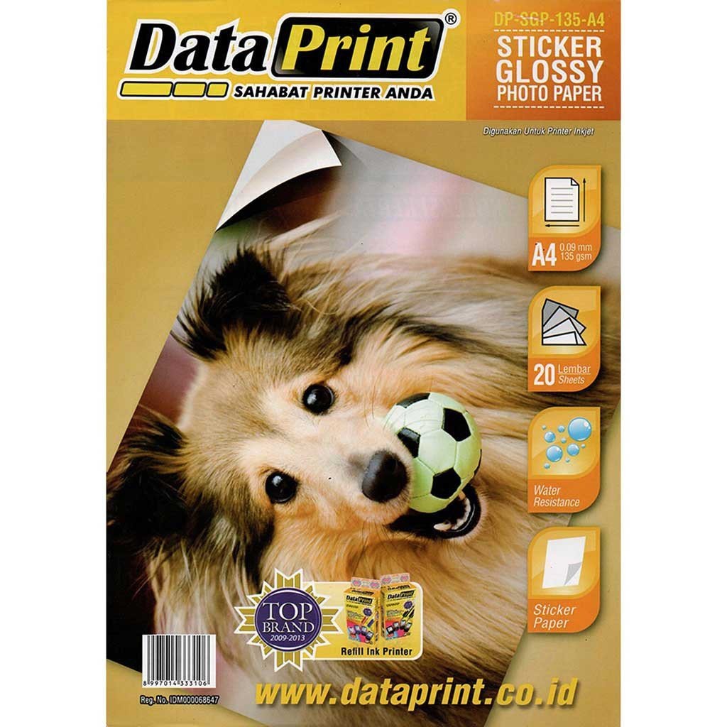 DataPrint Sticker Glossy Paper 135 gsm A4 Data Print 1 Pack