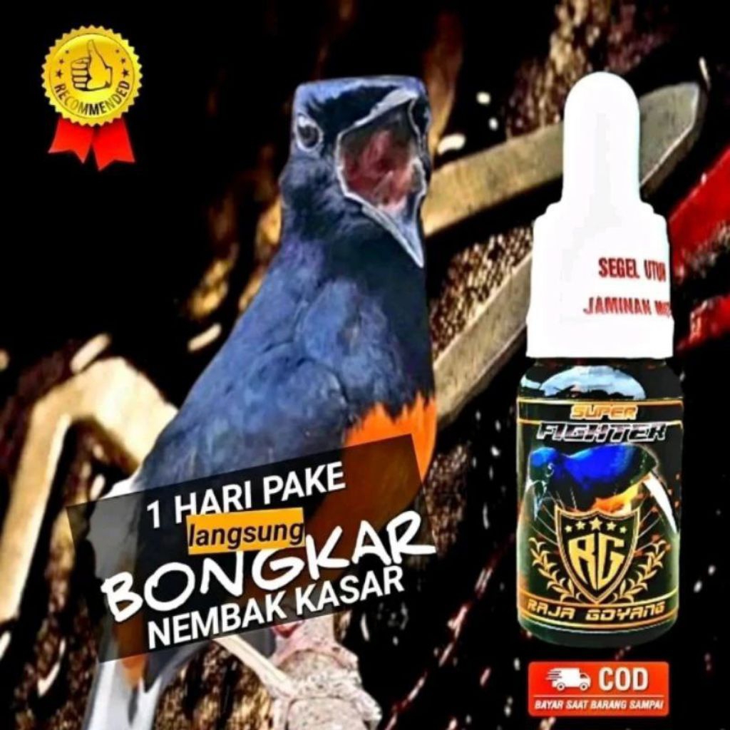 RG SUPER FIGHTER VITAMIN BURUNG MURAI RAJA GOYANG ORIGINAL