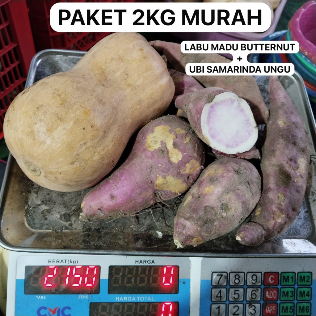 (2KG) PAKET LABU MADU BUTTERNUT + UBI SAMARINDA UNGU MURAH