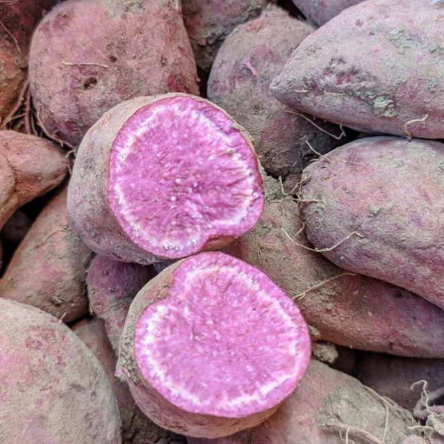 UBI UNGU MURASAKI 1 KG / Ubi Ungu Pekat Asli