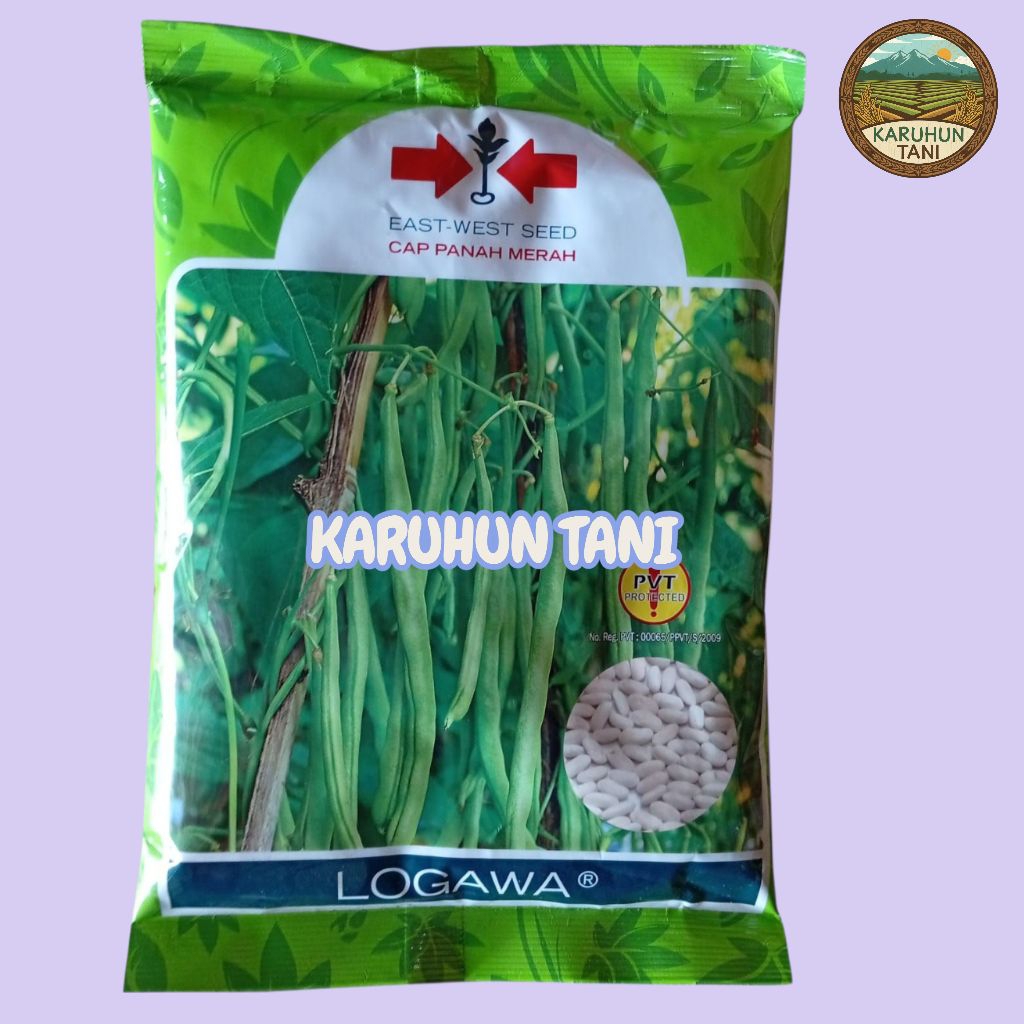 Benih Buncis Logawa 500 Gram