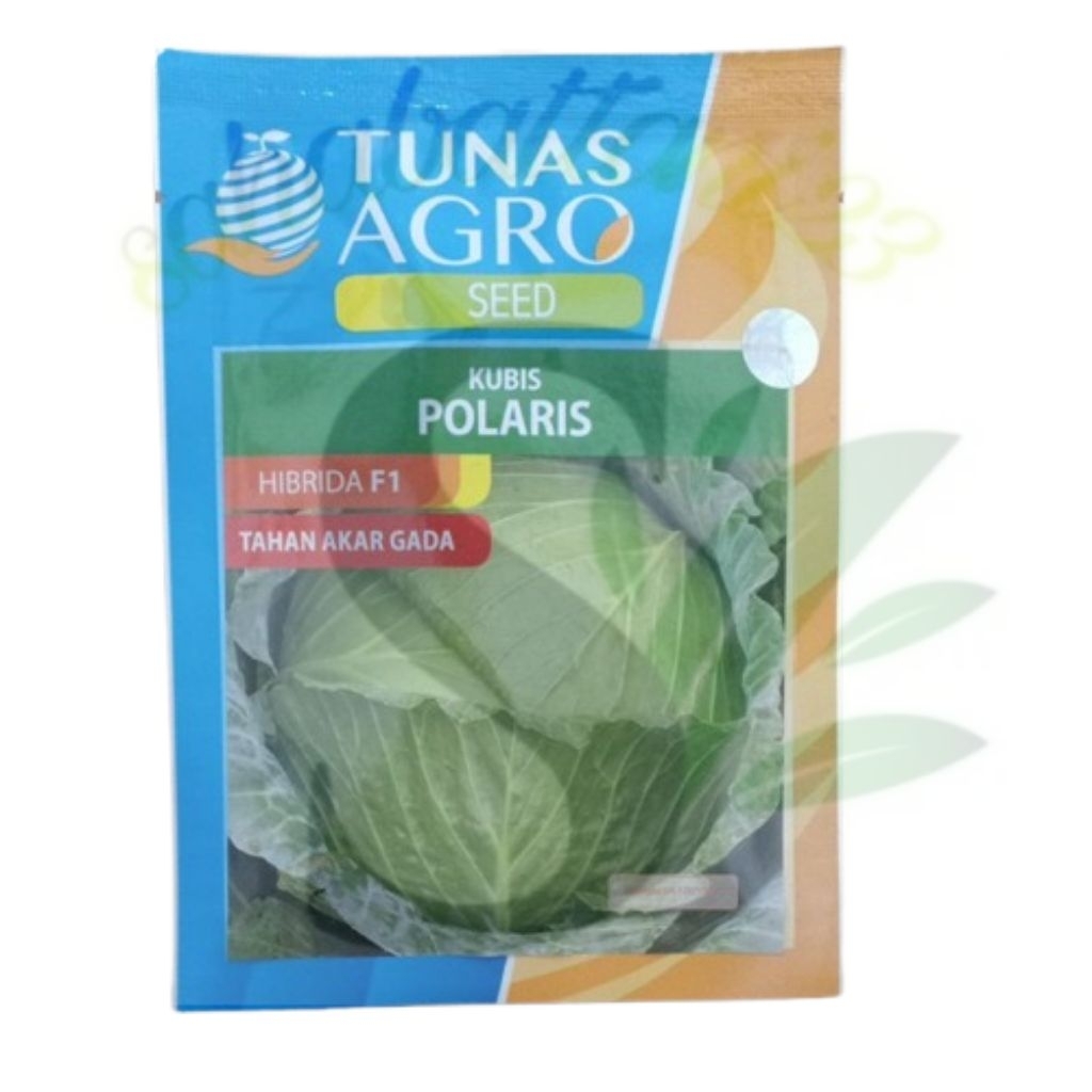 Benih Kubis POLARIS Hibrida f1 isi 20 gram (Tunas Agro)
