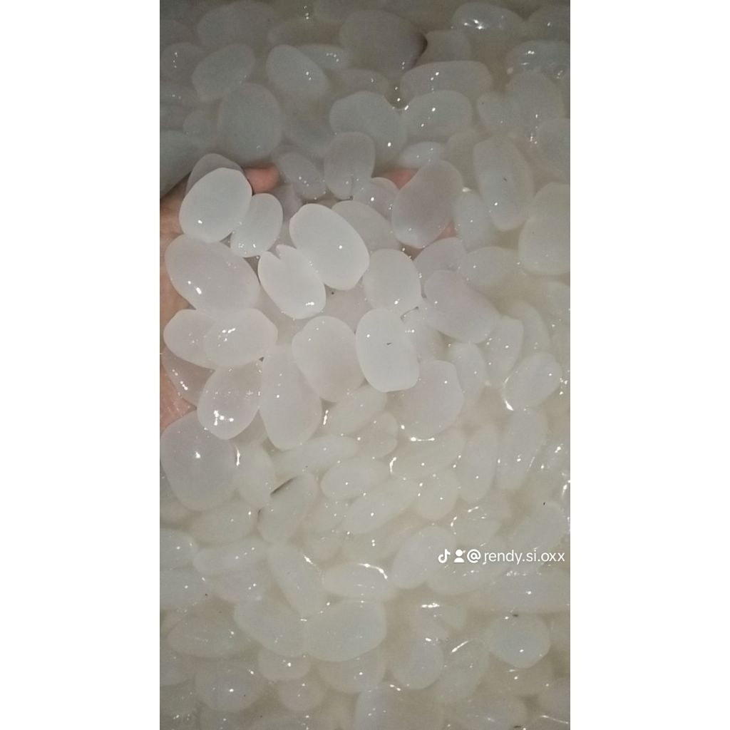 Kolang Kaling press ukuran jumbo