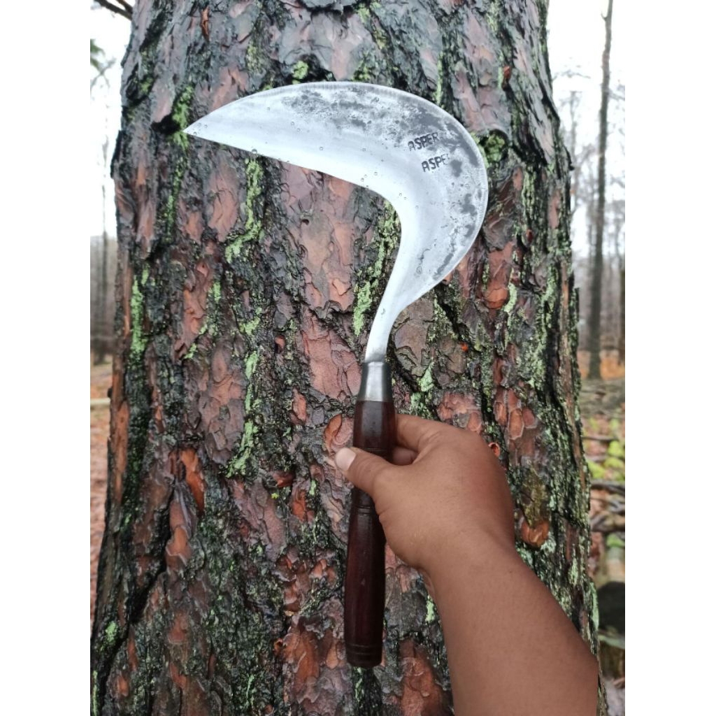 Arit ASPER Cikajang Baja Premium l Sabit Tani Rumput Panen Padi Kuat Super Tajam