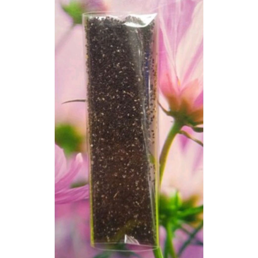 Bibit Genjer / Biji Genjer / Benih Genjer / Ribuan Biji Kering / Siap Semai