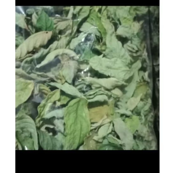Daun belimbing wuluh kering 1 kg