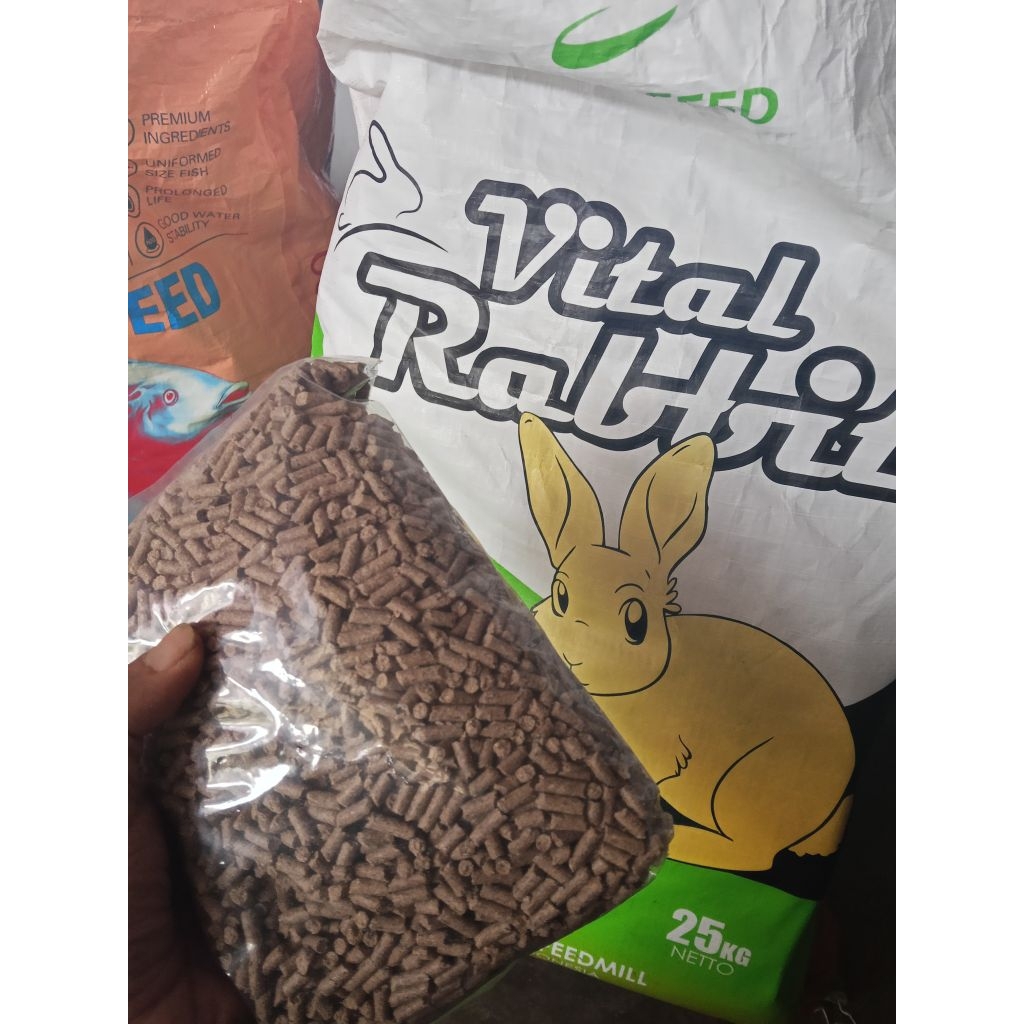 Pakan kelinci vitamin lengkap dan menyehatkan