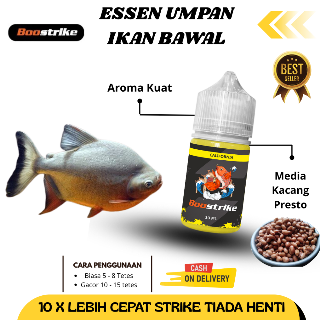 Essen Ikan Bawal Media Umpan Kacang Presto Untuk Harian Galatama Essen Boostrike California Juara