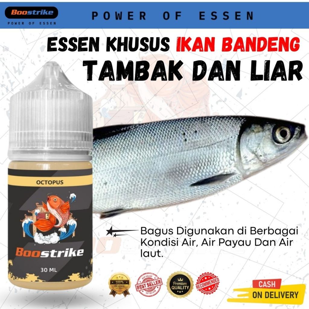 Essen Super Ikan BANDENG Tambak Campuran Umpan Mancing Untuk Target Rame & Indukan Untuk Air Payau D