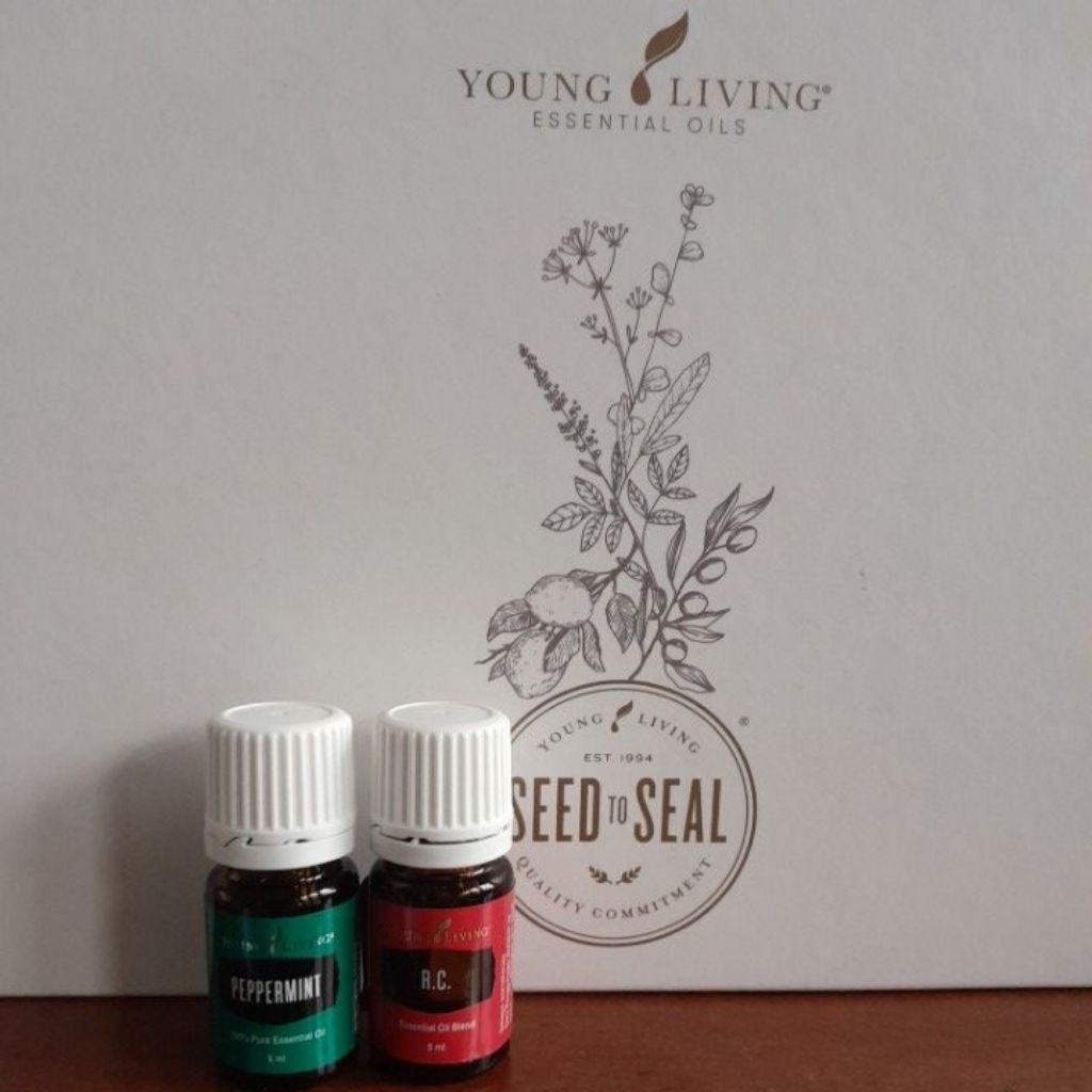 YL paket pancaroba lega young living,5ml peppermint oil young living,5ml rc oil young living,yleo,ar