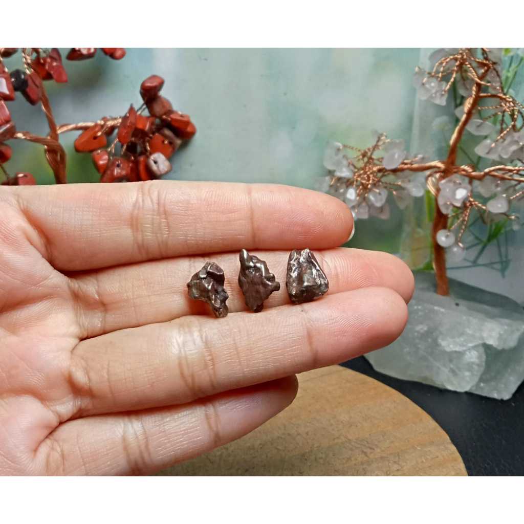 Batu meteorite crystal campo del cielo (7)