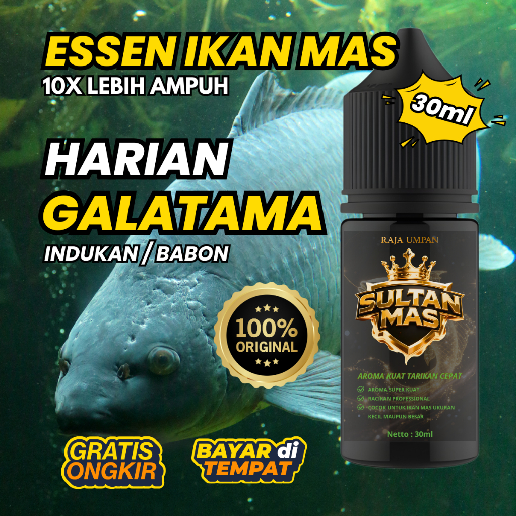 SULTAN MAS essen khusu ikan mas super jitu galatama indukan babon 30ml anti boncos paling gacor