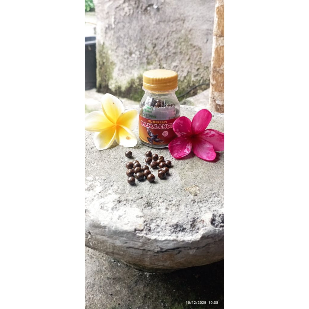 Jamu merpati suplemen untuk merpati balap & tinggian dan kolong