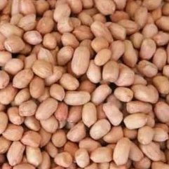 kacang tanah Tuban kualitas super 1kg