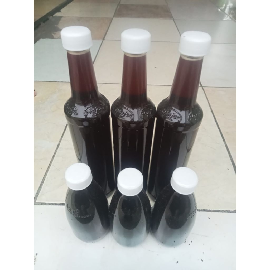 madu sumatra asli