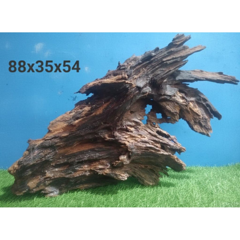 KAYU TENGGELAM AQUASCAPE SUPER JUMBO