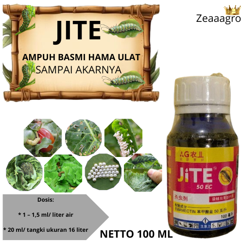JITE - Insektisida Mengatasi Hama Ulat Grayak, Thrips pada Tanaman Bawang Merah, Cabai, Tomat, Padi 