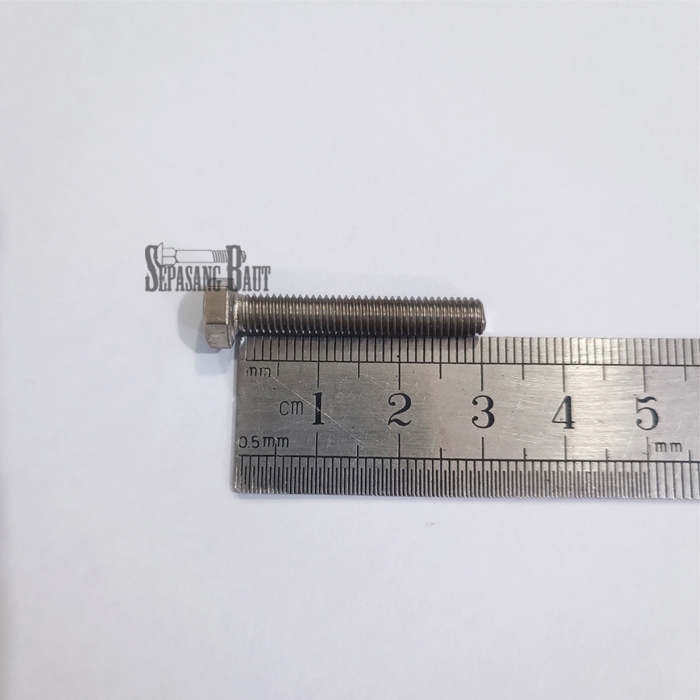 M5 x 30 Baut Hexagon Stainless 304 M5x30