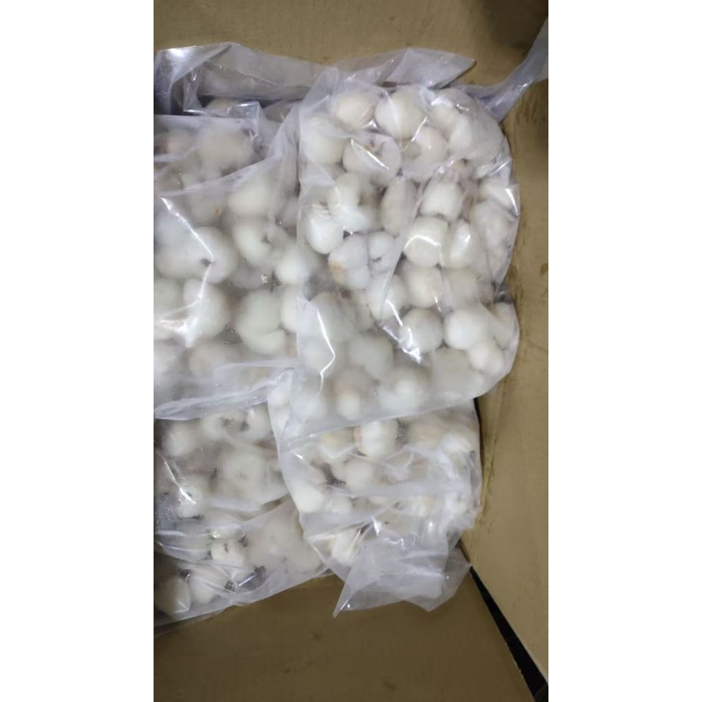 Lychee Frozen IQF 1KG