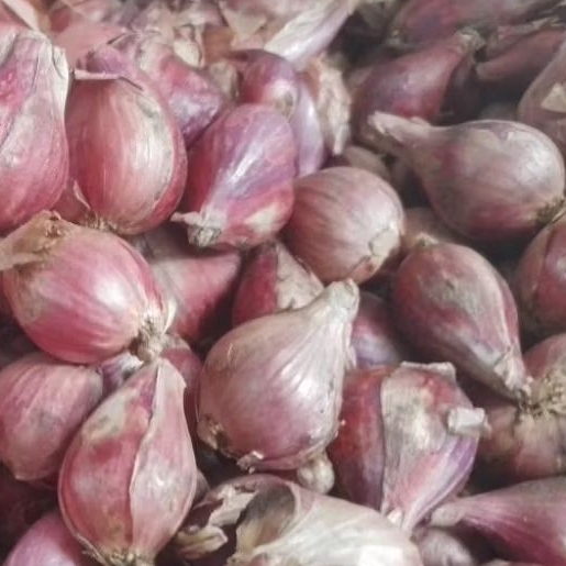 BAWANG MERAH BREBES BESAR 1Kg