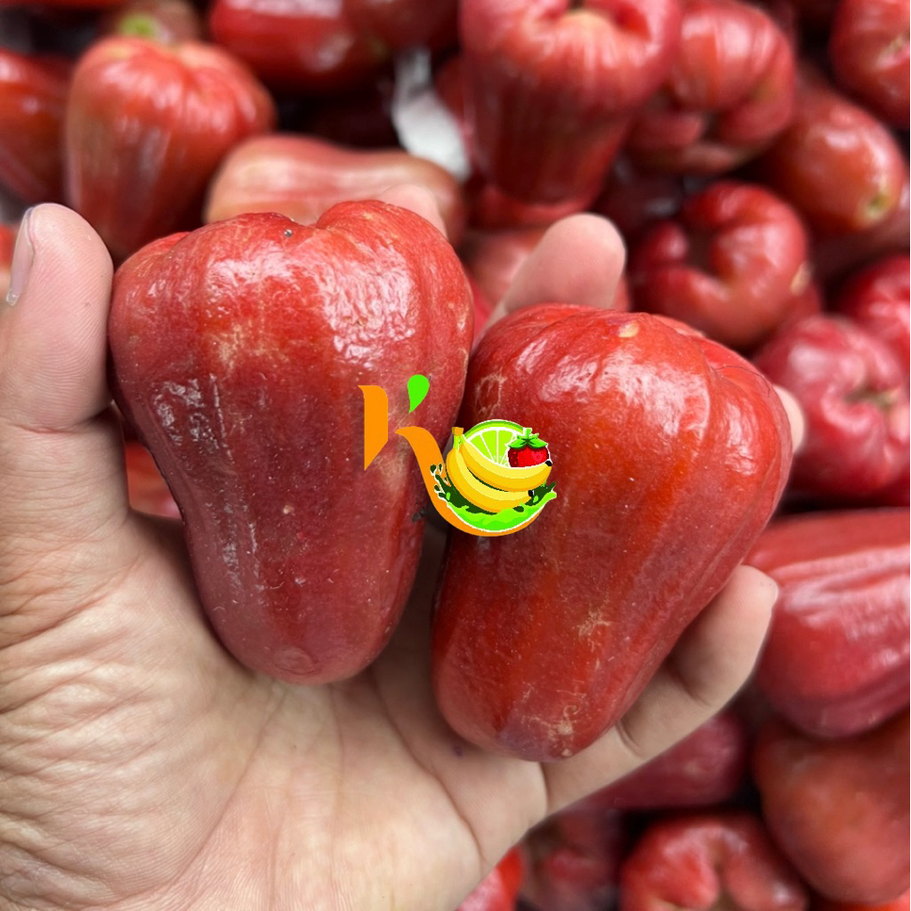 Jambu Citra Demak