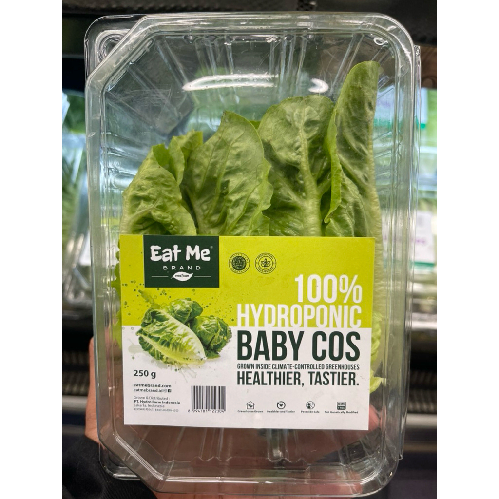 Baby Cos Hidroponic / Sayur Baby Selada Segar / Pack