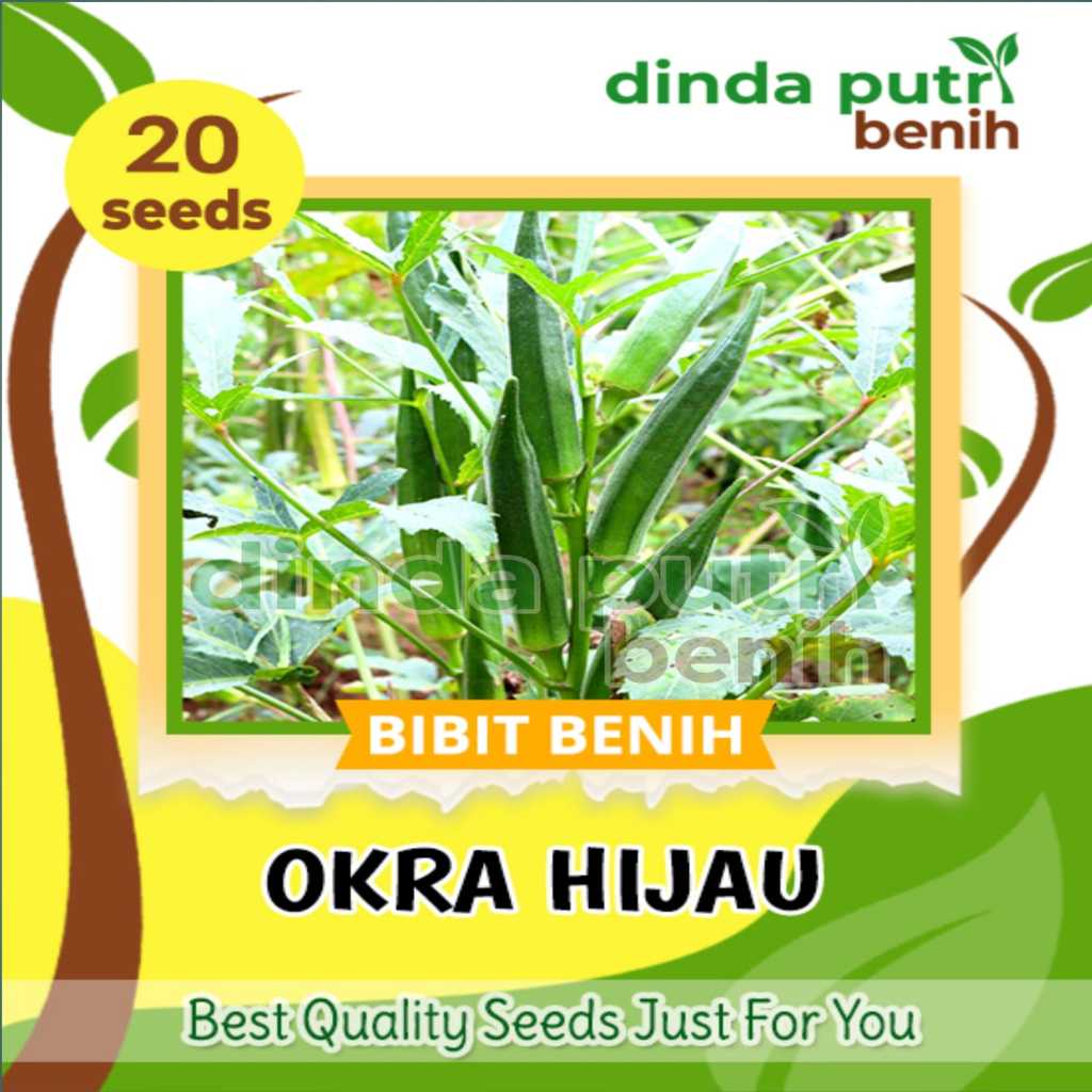 20Biji benih OKRA Hijau Super, benih sayur okra hijau