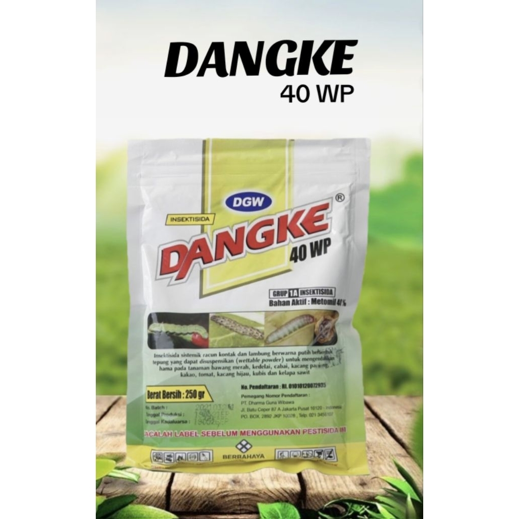 Insektisida DANGKE 250gr
