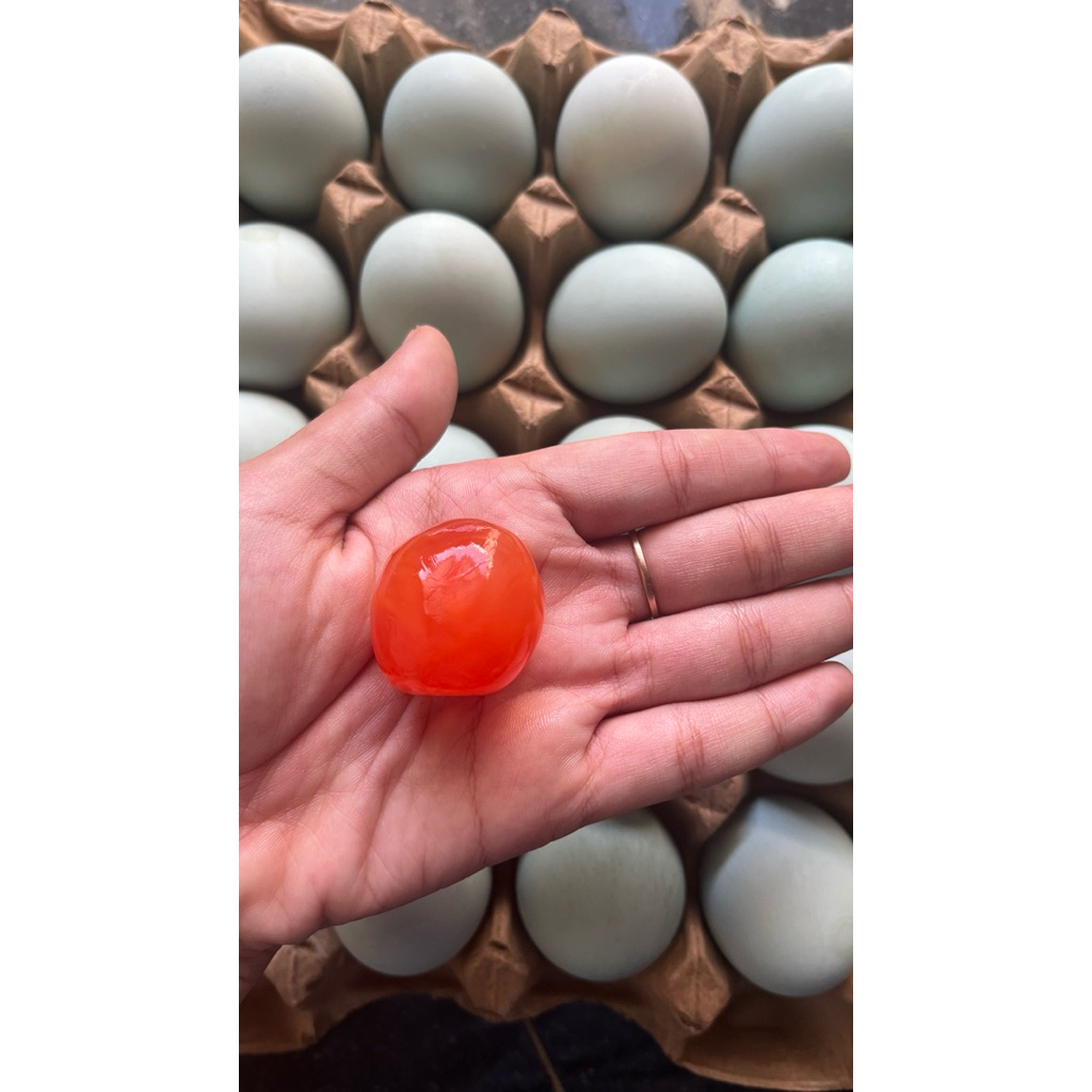 KUNING TELUR ASIN BEBEK MENTAH Kuning telur asinE