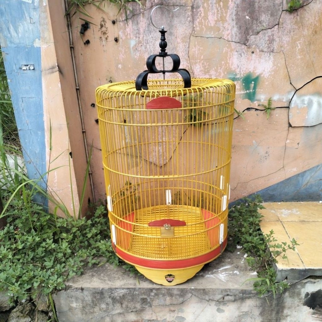 SANGKAR BURUNG MURAI PERNISAN NO 3 RAFI JAYA DAN BERLIAN SANGKAR
