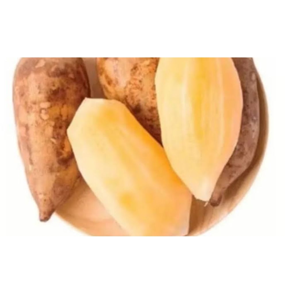 umbi yakon ubi yakon dieng wonosobo organik manis renyah 0,5 kilogram