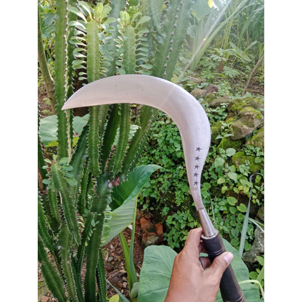 Terlaris Arit Asli Baja Super Tajam Cap Bintang Lima Khas Madura (gratis 1pisau dapur)