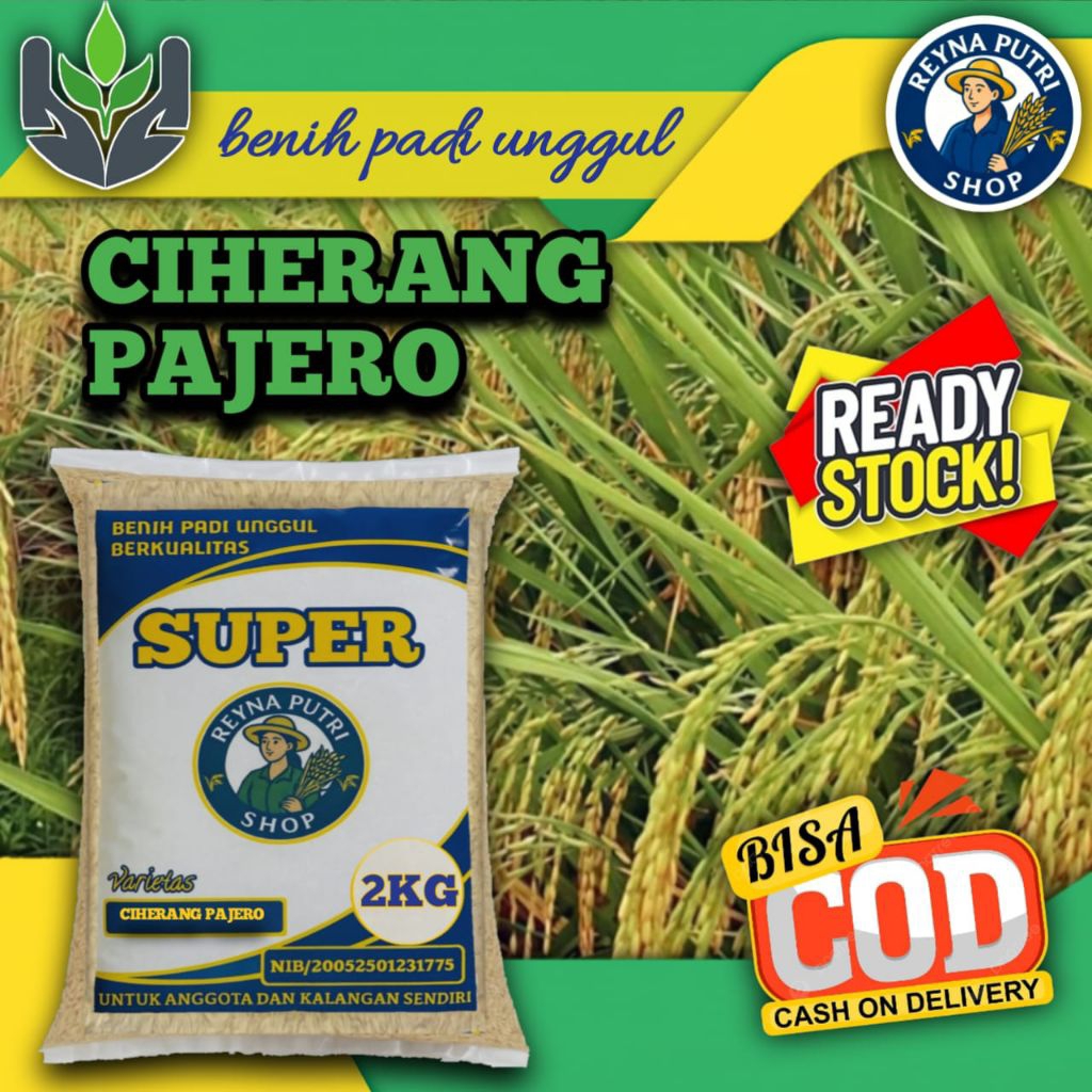 benih padi ciherang pajero super unggul 2kg