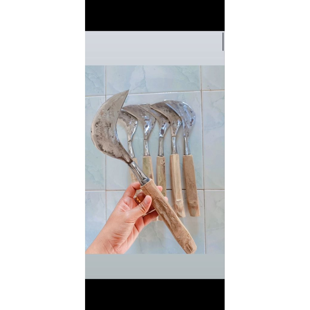 Petok/arit mini asli Madura