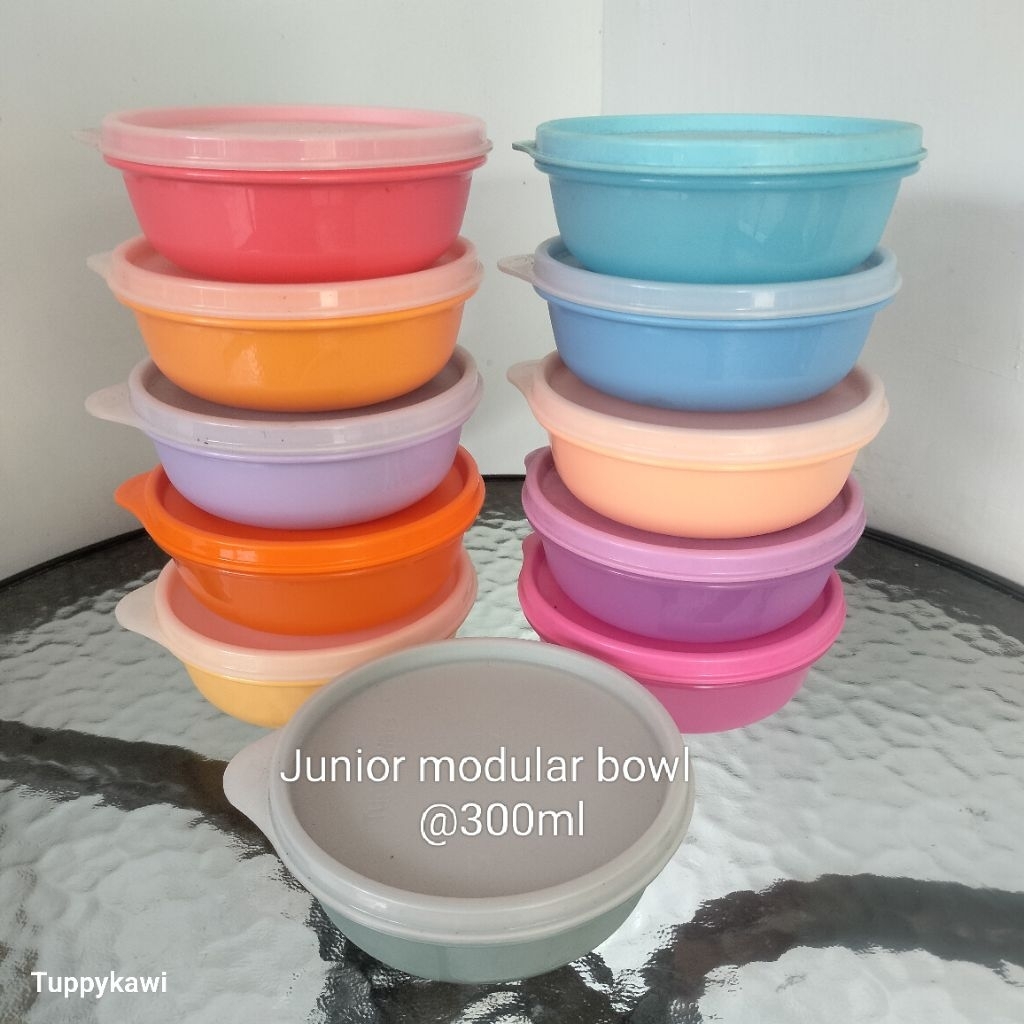 Junior modular bowl