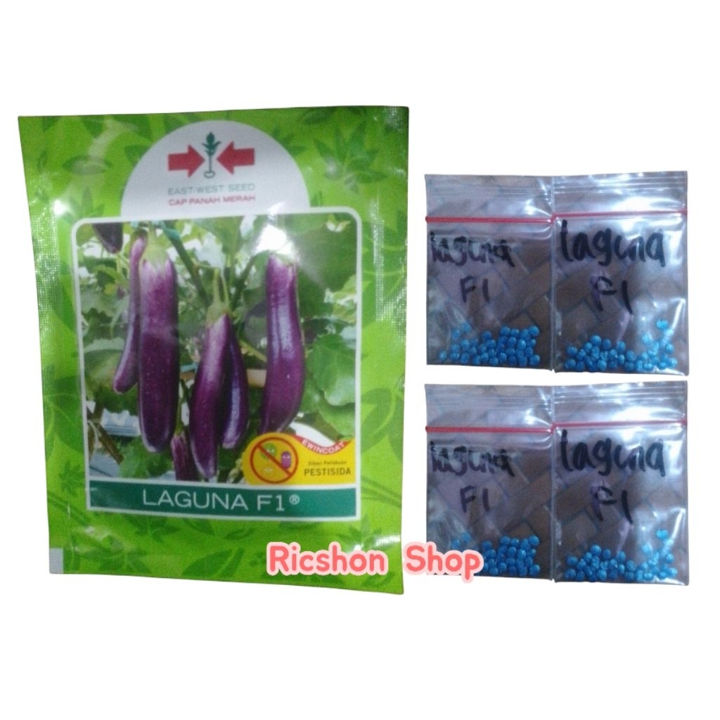 Benih Terong Ungu Laguna F1 Kemasan Repack