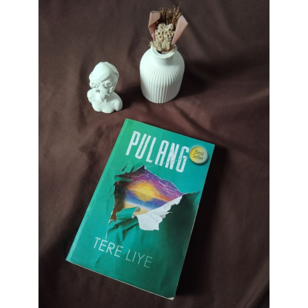[PRELOVED] NOVEL PULANG BY TERE LIYE