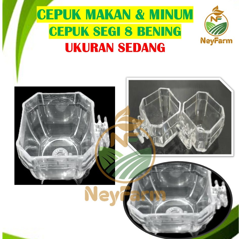 Cepuk Besar Segi 8 Bening Mika Cepuk Burung Murai Kacer Kenari Lovebird