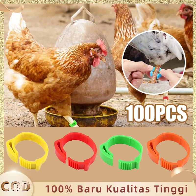 Nomor 001-100 Ring Kaki Ayam Bangkok Cincin Klip Kaki Ayam Gelang Kaki Ayam Adjustable