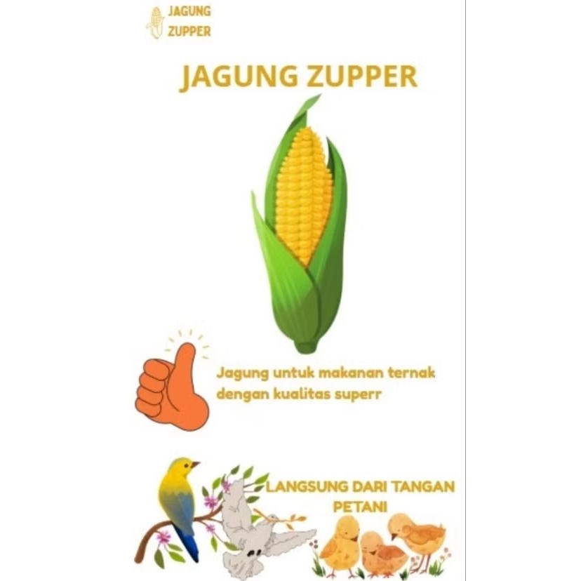 Jagung Pipil Kering Premium 1 kg per Pack Sebagai  Pakan Burung , Ayam dan Uanggas Lainya Bersih Ber