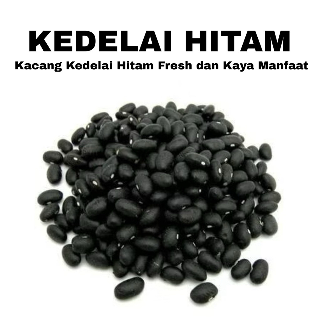 1 Kg Kedelai Hitam. Kacang Kedelai Hitam Fresh.