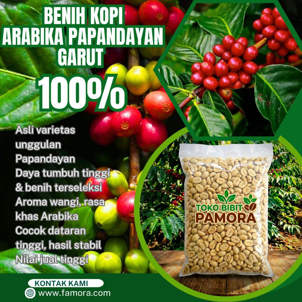 Benih Biji Kopi Arabika Papandayan Garut Asli | Kemasan 1 Kg