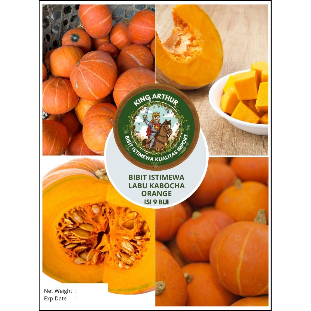 Bibit Istimewa Labu Kabocha Orange | Biji Benih Labu Kabocha