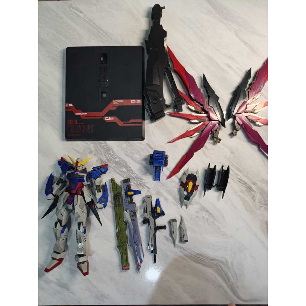 dragon Momoko 1/100 MG Destiny Gundam MB ver