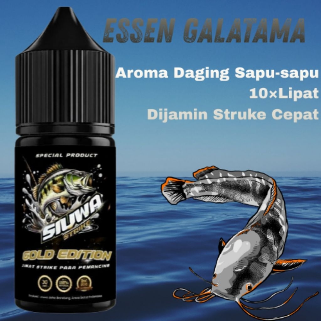 Essen Lele Galatama Harian Aroma Langka Esen Daging Ikan Sapu-Sapu, esen ikan lele